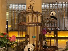 -成都保利公园皇冠假日酒店(熊猫基地店)