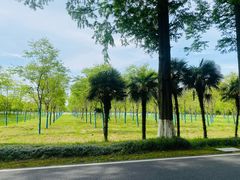 -黄海国家森林公园