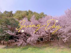 -蜀冈西峰生态公园