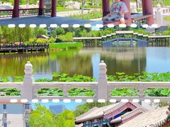 -西海子公园