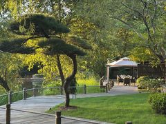 -新荣记(西溪湿地店)