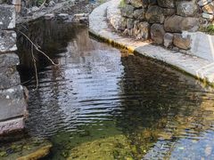 -宁波浙东大竹海景区