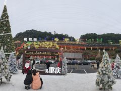 -枇杷园食为鲜火锅(南山店)
