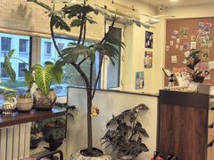 -阿九笨鸡蛋手擀面(总店)