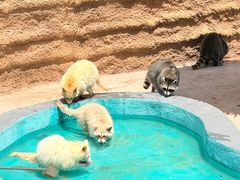 -福州罗源湾海洋世界旅游区