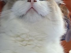 -零纪元VR体验馆·桌游(黄浦店)