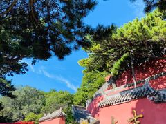 -妙峰山风景名胜区