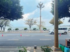 -野菌皇海景野生菌火锅(滨海大道店)