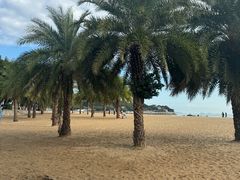 -白城沙滩