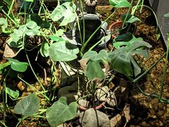 -邈墨茶馆(凤起路店)