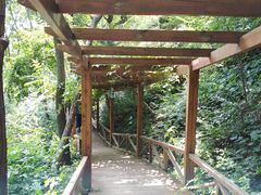 -大岭沟猕猴桃谷风景区