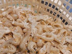 -海天盛宴新派海鲜自助餐厅(群力店)