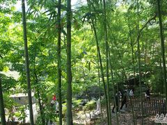 -藏龙百瀑风景区