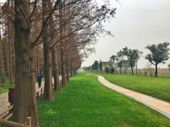 -同里国家湿地公园