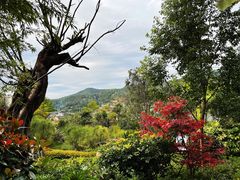 -腾冲洞山温泉村