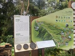 -广州市帽峰山景区
