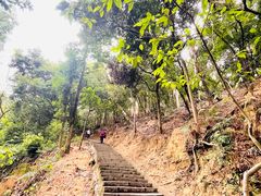 -火炉山森林公园