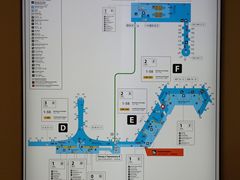 -谢列梅捷沃国际机场