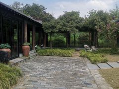 -东园小馆·早茶·淮扬小炒(宋夹城店)