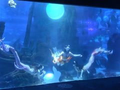 -江和美海洋公园