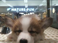 -乐宠宠物店(世纪金源店)