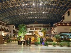 -拉萨圣地天堂洲际大饭店-自助餐厅