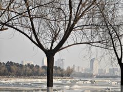 -长春市南湖公园