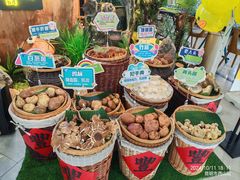 -菌彩云南野生菌火锅(万达广场店)