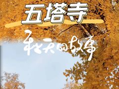 -北京石刻艺术博物馆