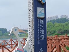 -丁香湖公园