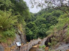 -广州白江湖森林公园