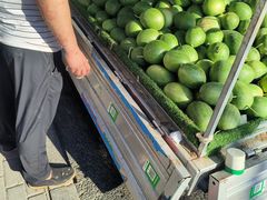 -桃源市场(解放路店)