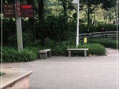 -广州市帽峰山景区