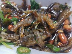 -陈添記·祖傳爽鱼皮·西关老字号(广州首店)