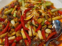 -院8里·小聚园老川菜(九眼桥店)