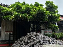 -山菌美食苑(振兴路店)