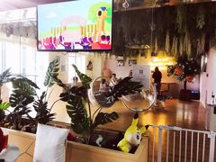 -Husky Go! 哈士奇体验馆·宠物咖啡厅狗咖