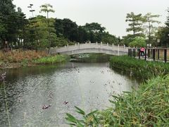 -映月湖公园
