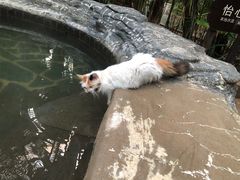 -龙达温泉生态城