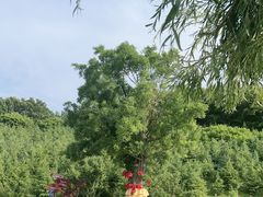 -威海华夏城景区