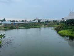 -马陆小张葡萄园农家乐