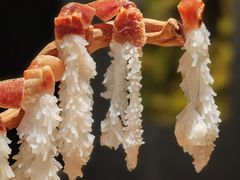 -蟹犇前•帝王蟹雪蟹(陆家嘴店)