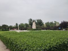 -绿堤公园