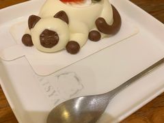莓莓暹罗猫-猫小院猫主题餐厅(南锣旗舰店)