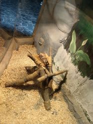 -Zoolung Zoolung动物主题公园(海信广场店)