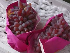 -马陆小张葡萄园农家乐