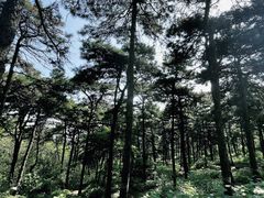 -北京西山国家森林公园