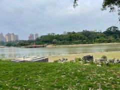 -广西壮族自治区药用植物园