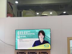 -格蕾宠物医院24H·猫科·肿瘤科·骨科中心(福州总院)