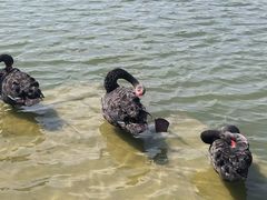 -江南大学(蠡湖校区)